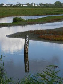 Spiegelung Fehmarn